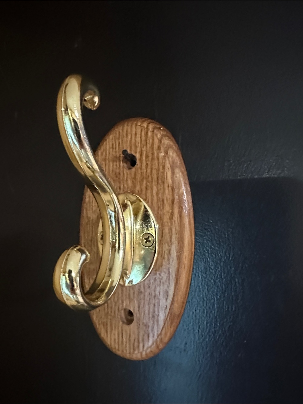 Wall-Mounted Brass Hook with Wood Oval Backplate